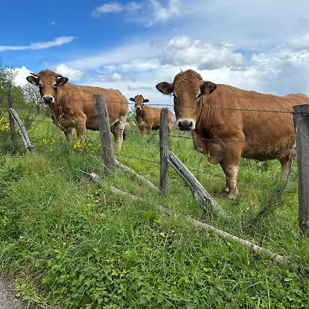 Le Domaine Du Bez De Michel Piscine Sauna Hammam Saint-Laurent-dʼOlt