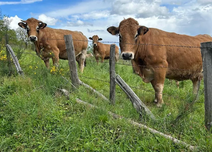 Le Domaine Du Bez De Michel Piscine Sauna Hammam Saint-Laurent-dʼOlt