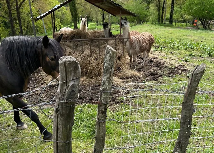 Le Domaine Du Bez De Michel Piscine Sauna Hammam *